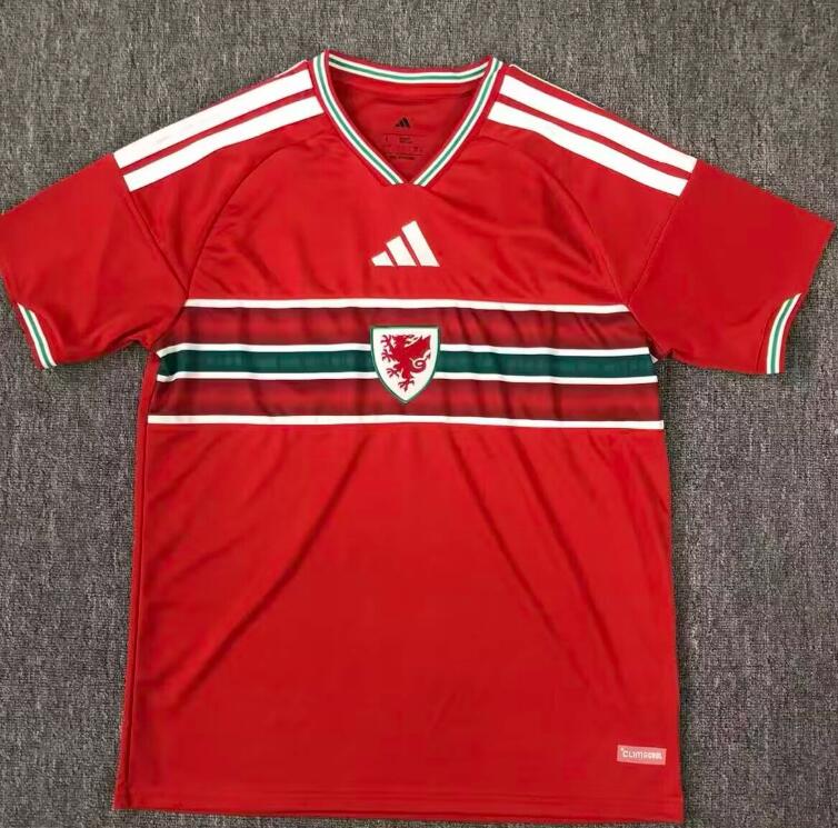 AAA Quality Wale 2026 World Cup Home Soccer Jersey